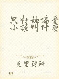 只对她偏爱原著小说叫什么名字