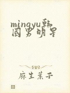 mingyu韩国男明星