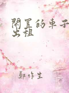 闲置的车子怎么出租