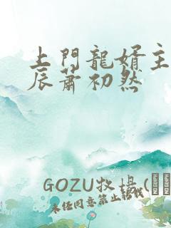 上门龙婿主角叶辰萧初然