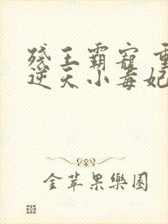 残王霸宠 重生逆天小毒妃