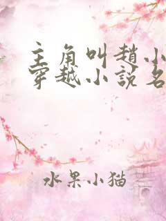 主角叫赵小驴的穿越小说名字