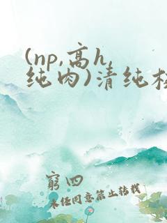 (np,高h,纯肉)清纯校花