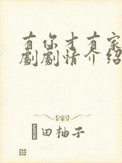 有你才有家电视剧剧情介绍