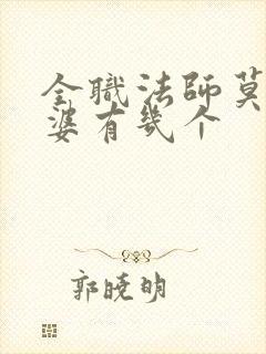 全职法师莫凡老婆有几个