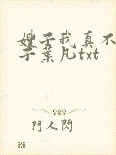 嫂子我真不是傻子叶凡txt