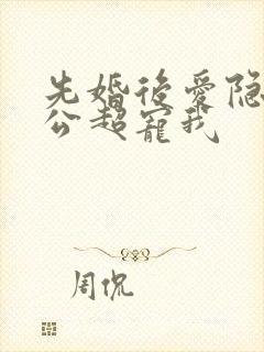 先婚后爱隐婚老公超宠我