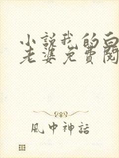 小说我的白富美老婆免费阅读