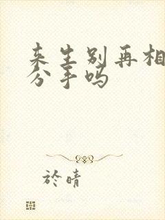 来生别再相遇是分手吗