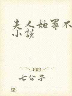 夫人她罪不至死小说