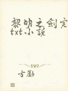 黎明之剑完整版txt小说