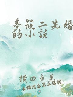 梦筱二先婚后爱的小说