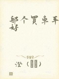 那个买车平台最好