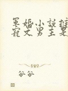 军婚小说推荐甜宠文男主是军人