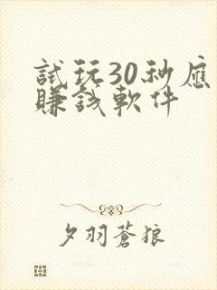 试玩30秒应用赚钱软件