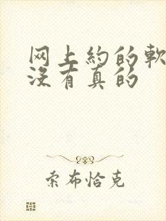 网上约的软件有没有真的