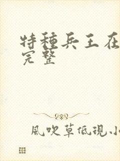 特种兵王在山村完整