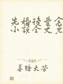 先婚后爱余慧慧小说全文免费阅读