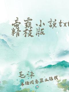 帝霸小说txt精校版