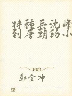 特种兵沈峰穿越到唐朝的小说