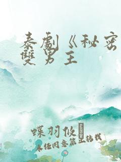 泰剧《秘密爱》双男主