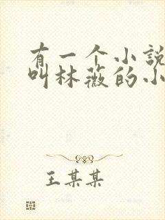 有一个小说女主叫林薇的小说