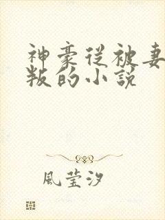 神豪从被妻子背叛的小说