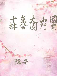 十万大山国家森林公园门票多少钱