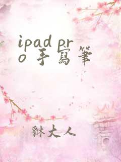ipad pro 手写笔