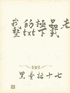 我的极品老婆完整txt下载