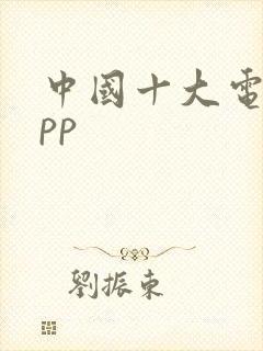 中国十大电商app