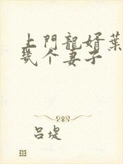 上门龙婿叶辰有几个妻子