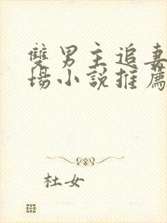 双男主追妻火葬场小说推荐