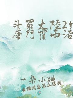 斗罗大陆2绝世唐门霍雨浩第二武魂魂环