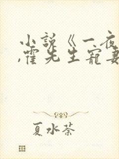 小说《一夜情深,霍先生宠妻无度》