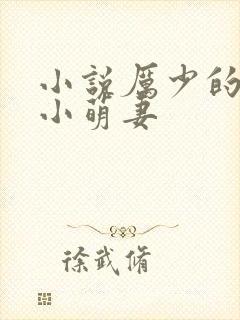 小说厉少的闪婚小萌妻