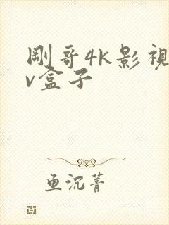 刚哥4k影视tv盒子