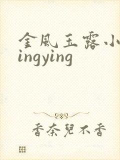 金风玉露小说wingying