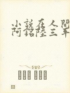 小说在人间采薇阿铭陆三平免费阅读