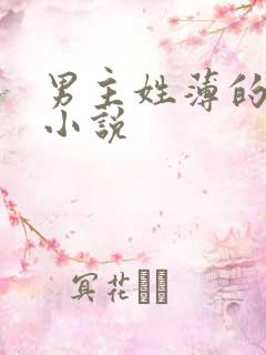 男主姓薄的全部小说