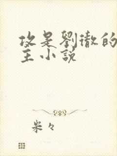 攻是刘彻的双男主小说