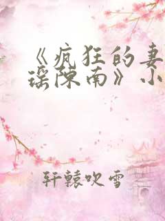 《疯狂的妻子林瑶陈南》小说下载