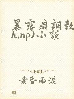 暴露癖调教(高h,np)小说