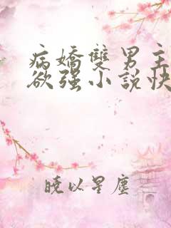 病娇双男主占有欲强小说快穿