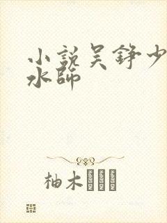 小说吴铮少年风水师