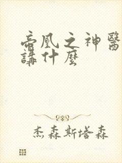 帝凰之神医弃妃讲什么