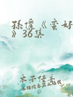 孙俪《蛮好人生》36集