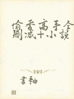 偷香高手全文无删减+小说