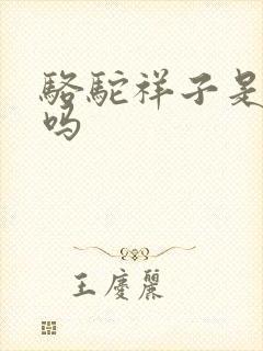 骆驼祥子是小说吗