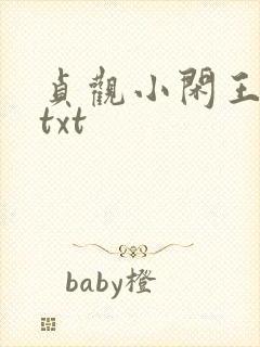 贞观小闲王全文txt